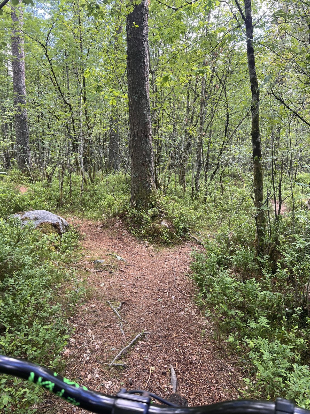 Little track trail photo 4