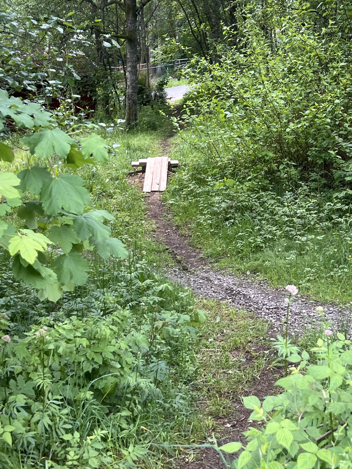 Little track trail photo 1