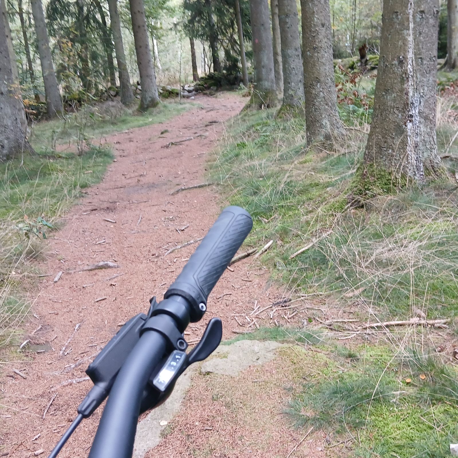 Skryllereturslinga trail photo 3