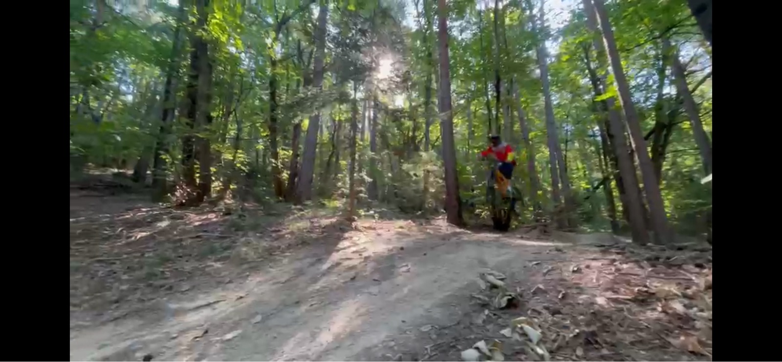 Monticolo downhill ride trail photo 2
