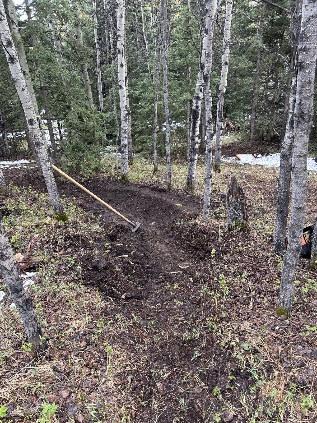 Whispering Pines trail photo 2