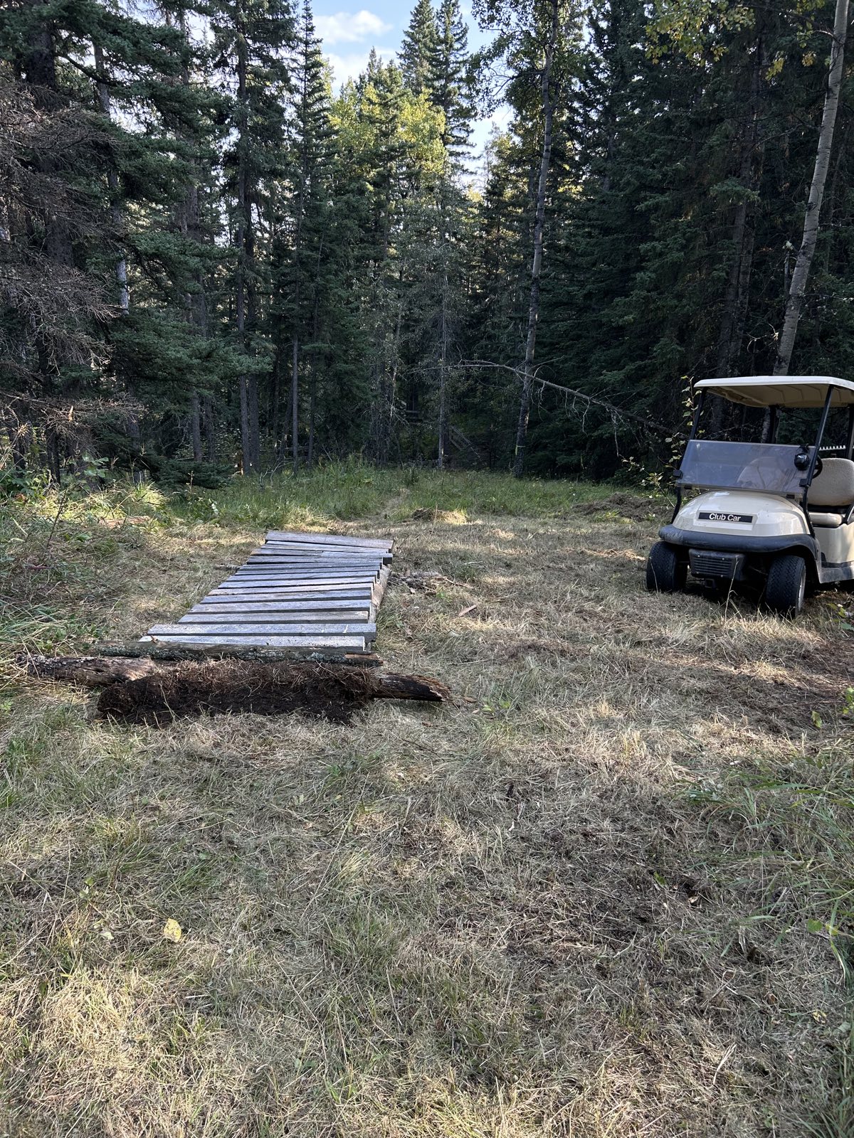 Whispering Pines trail photo 4
