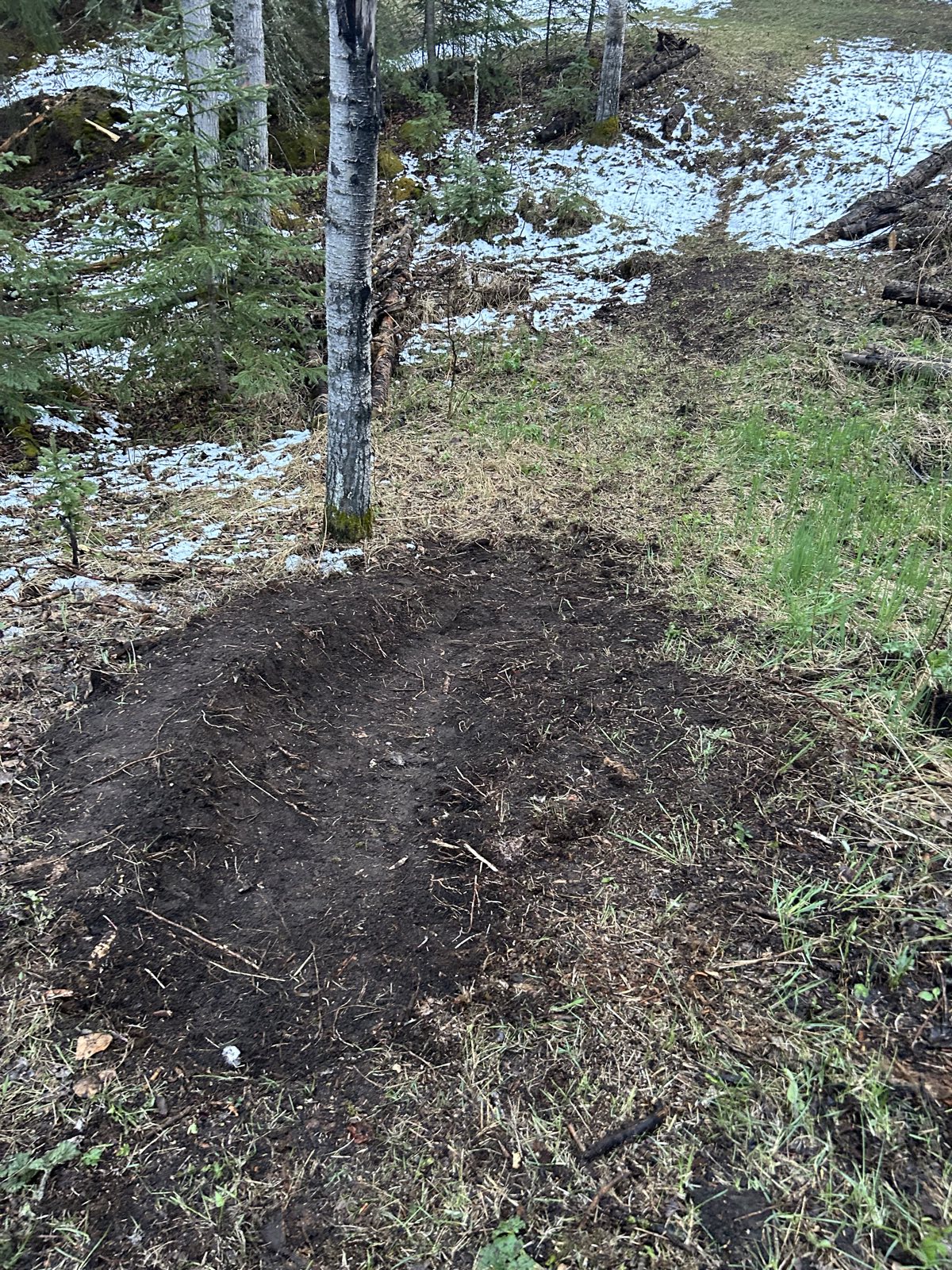 Whispering Pines trail photo 1