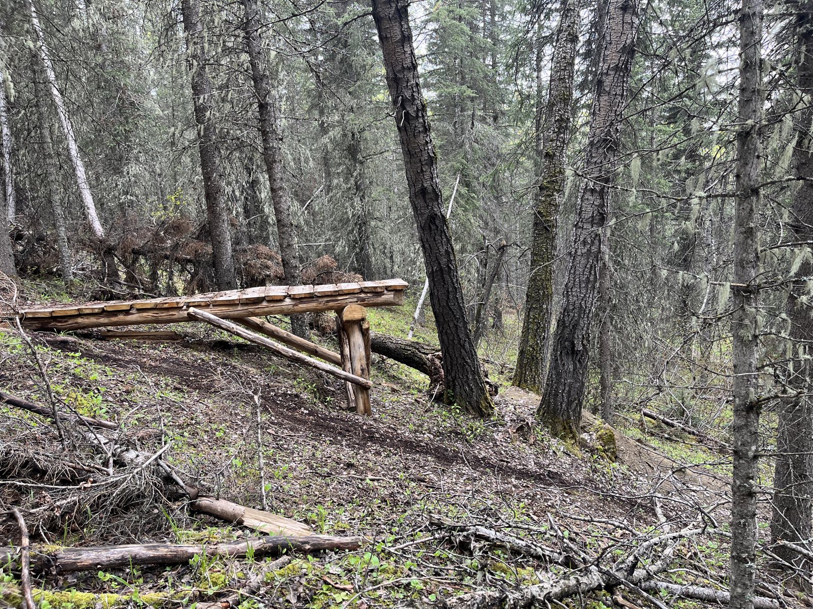 Green Dragon trail photo 3