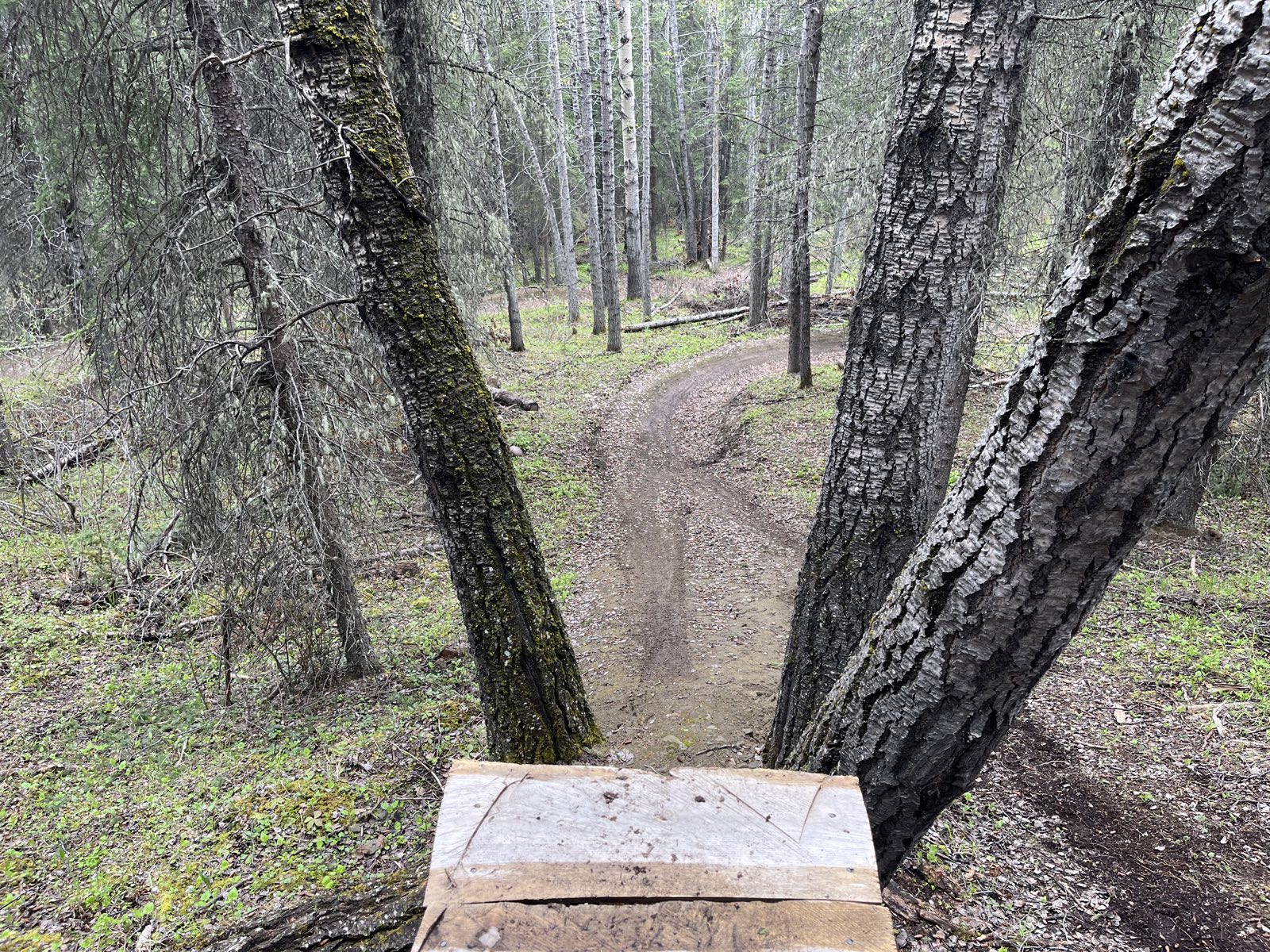 Green Dragon trail photo 2