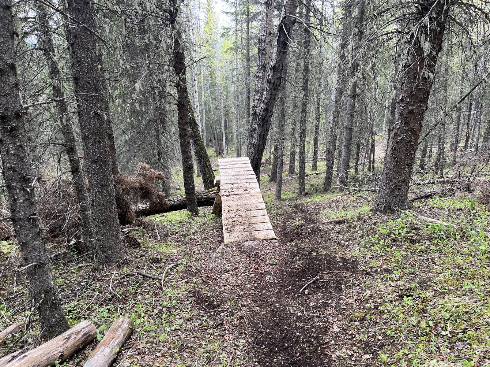 Green Dragon trail photo 1