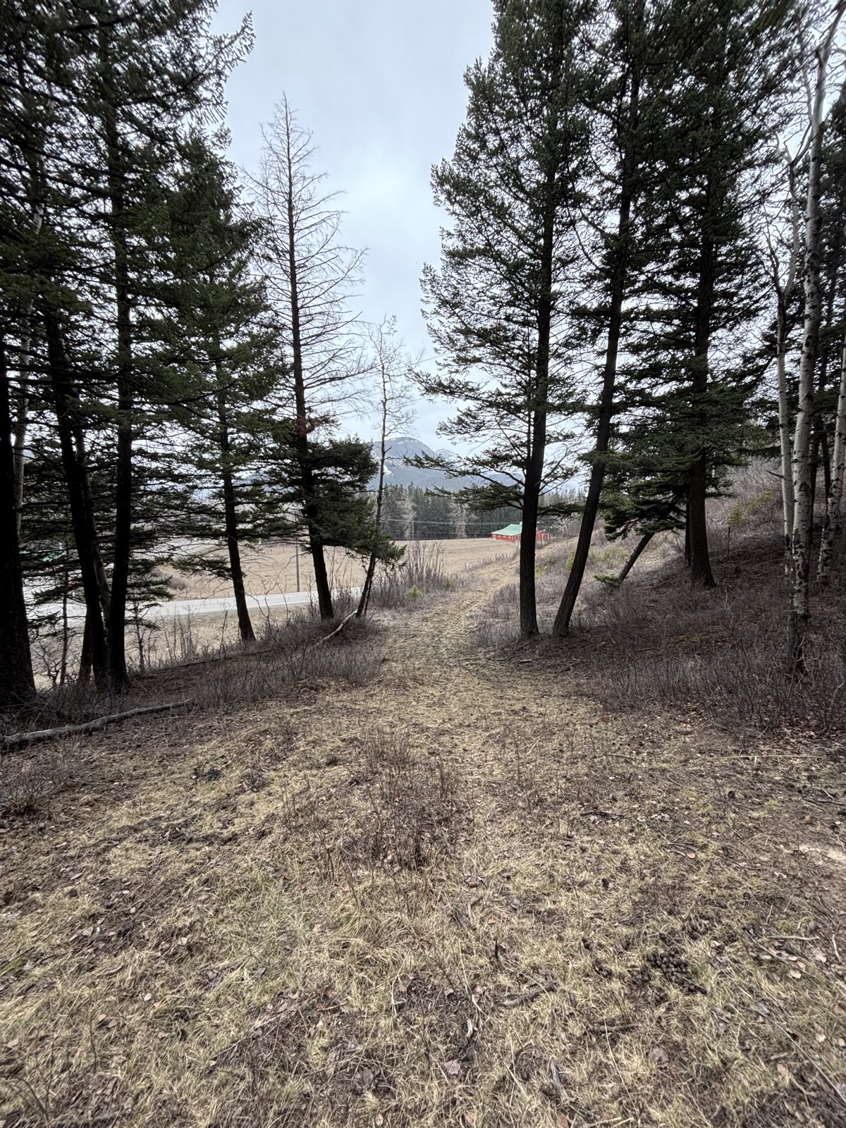 Cypress Trail trail photo 4