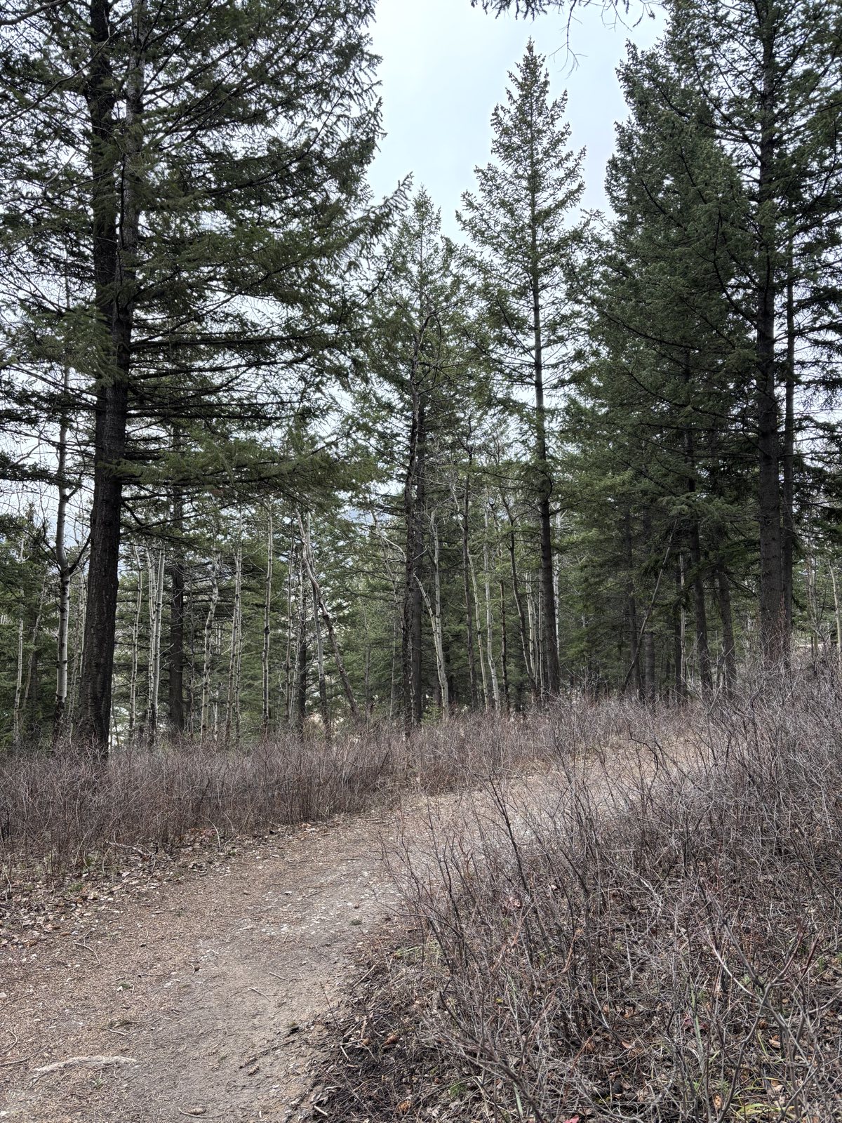 Cypress Trail trail photo 1