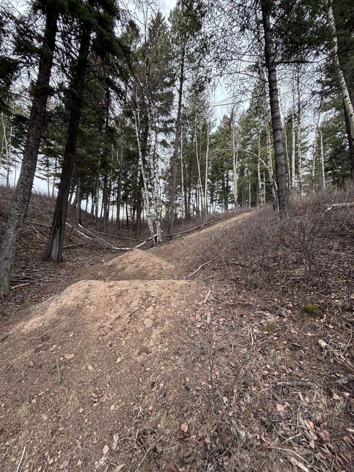 Cypress Trail trail photo 3