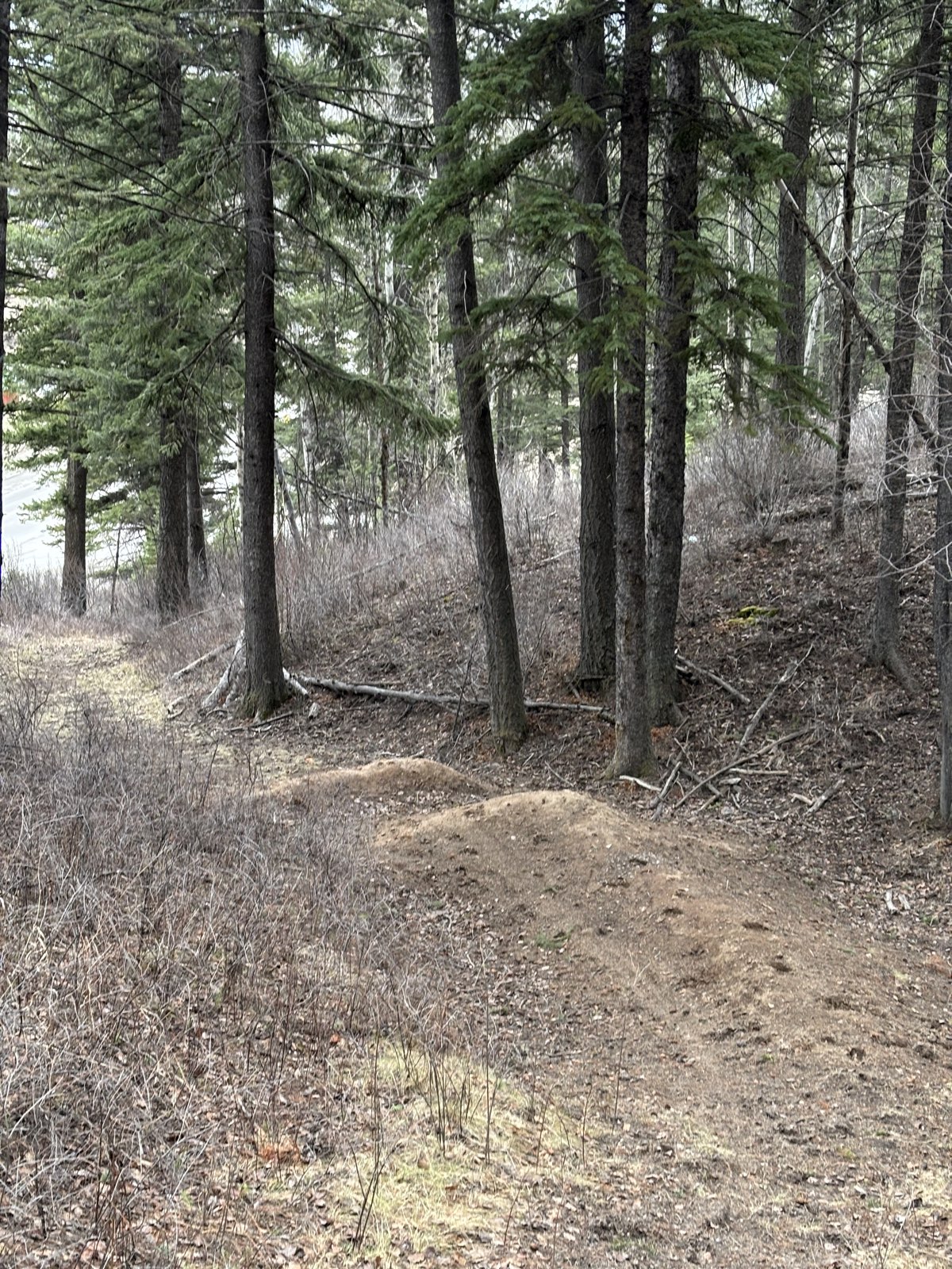 Cypress Trail trail photo 2