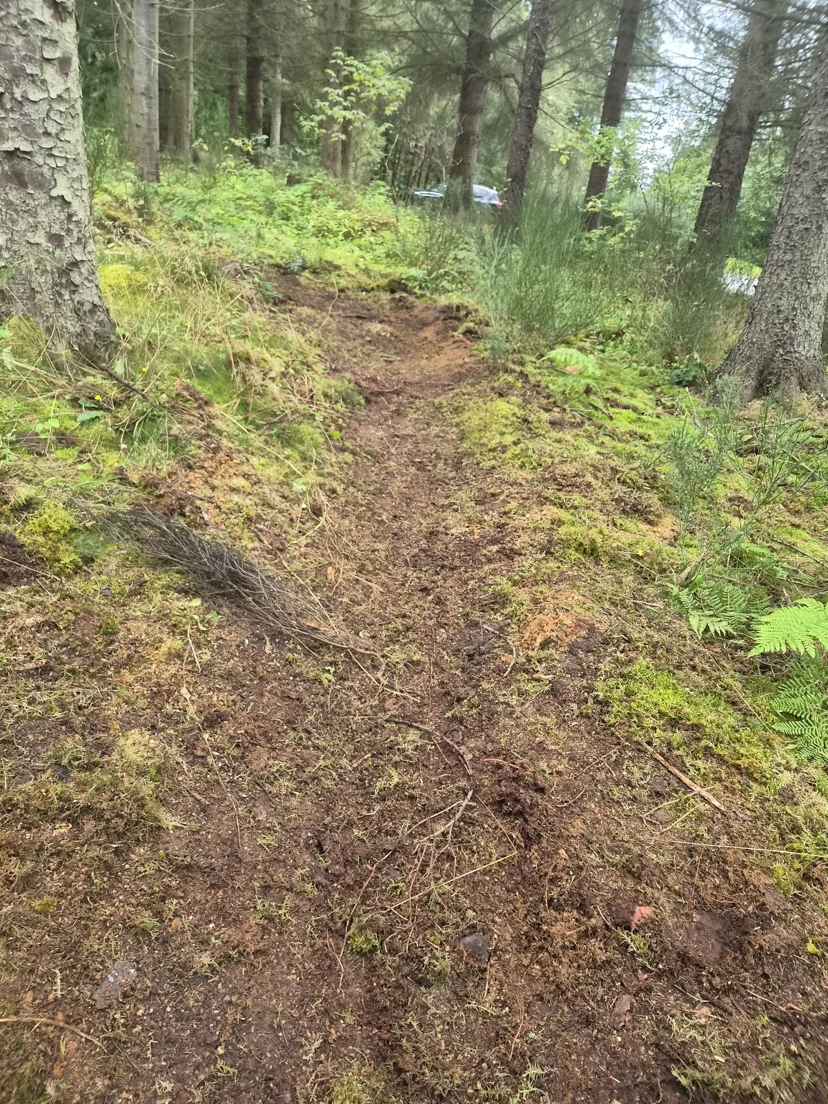 Lachlans Line trail photo 2