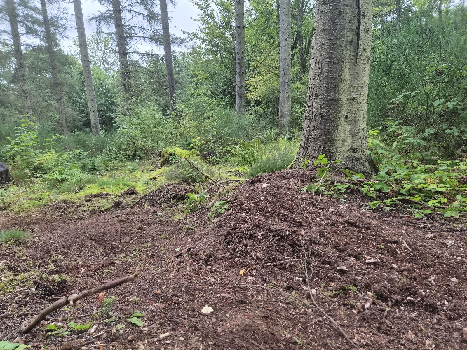 Lachlans Line trail photo 5