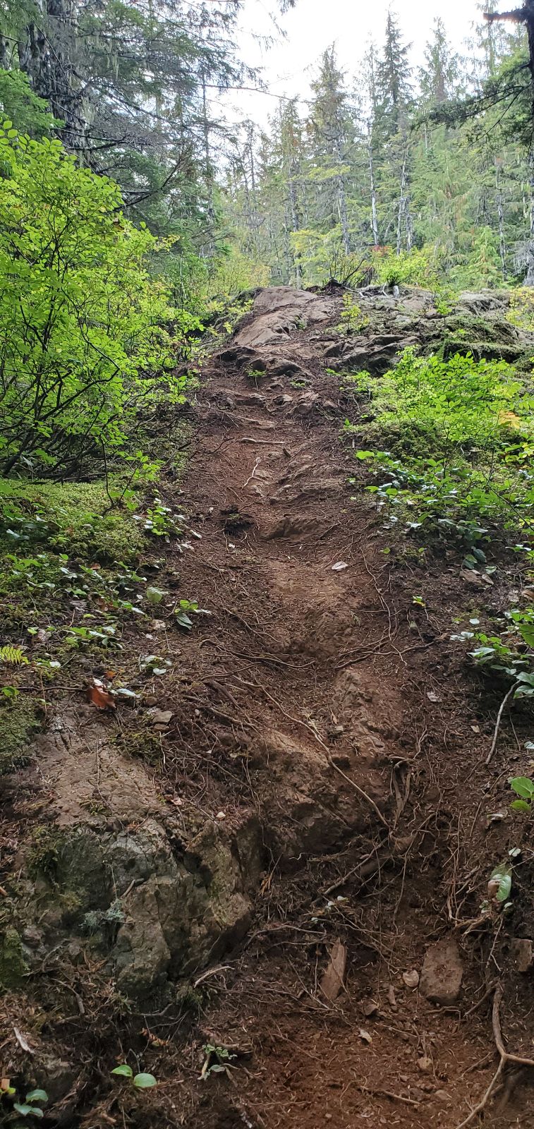 Too Tired trail photo 2