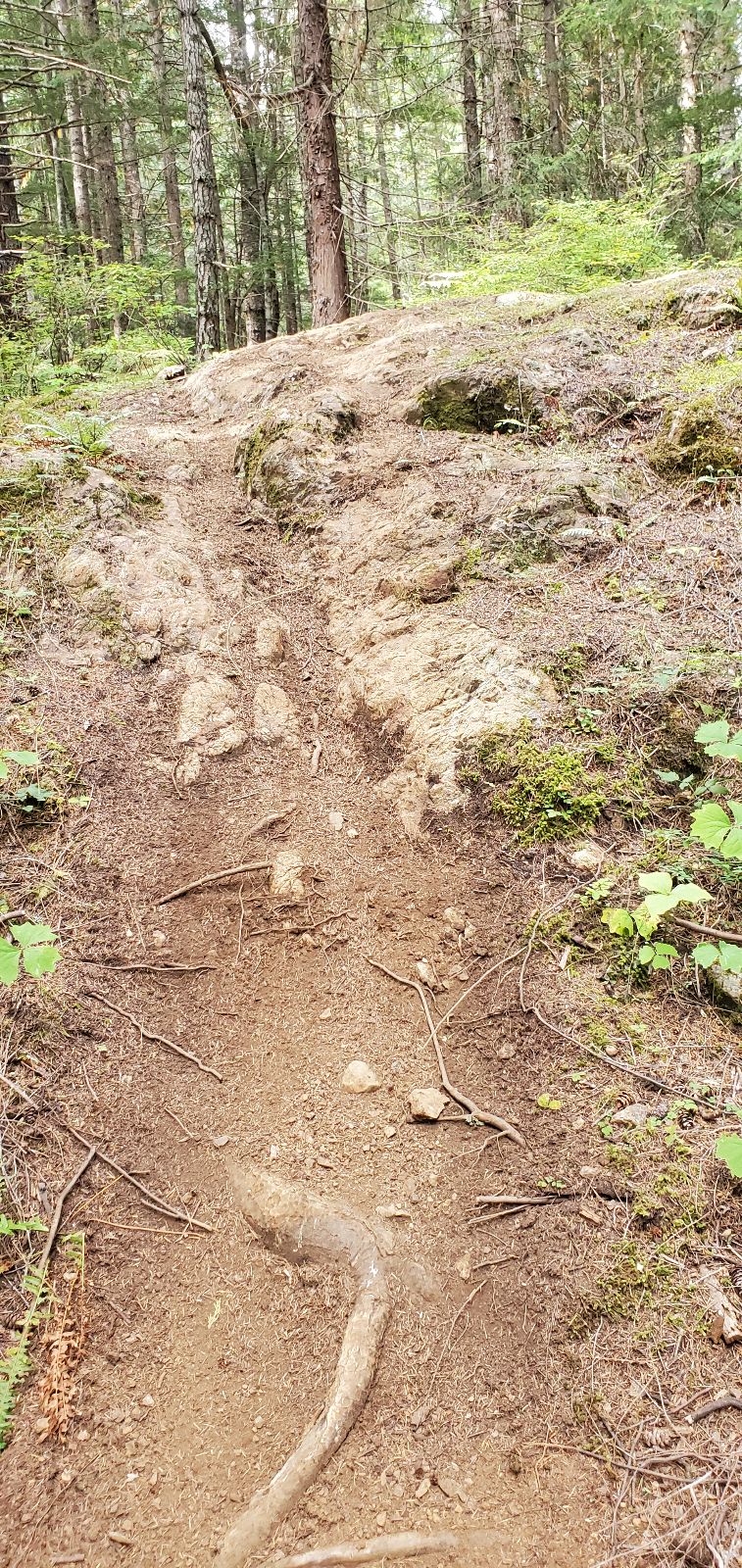 Too Tired trail photo 3