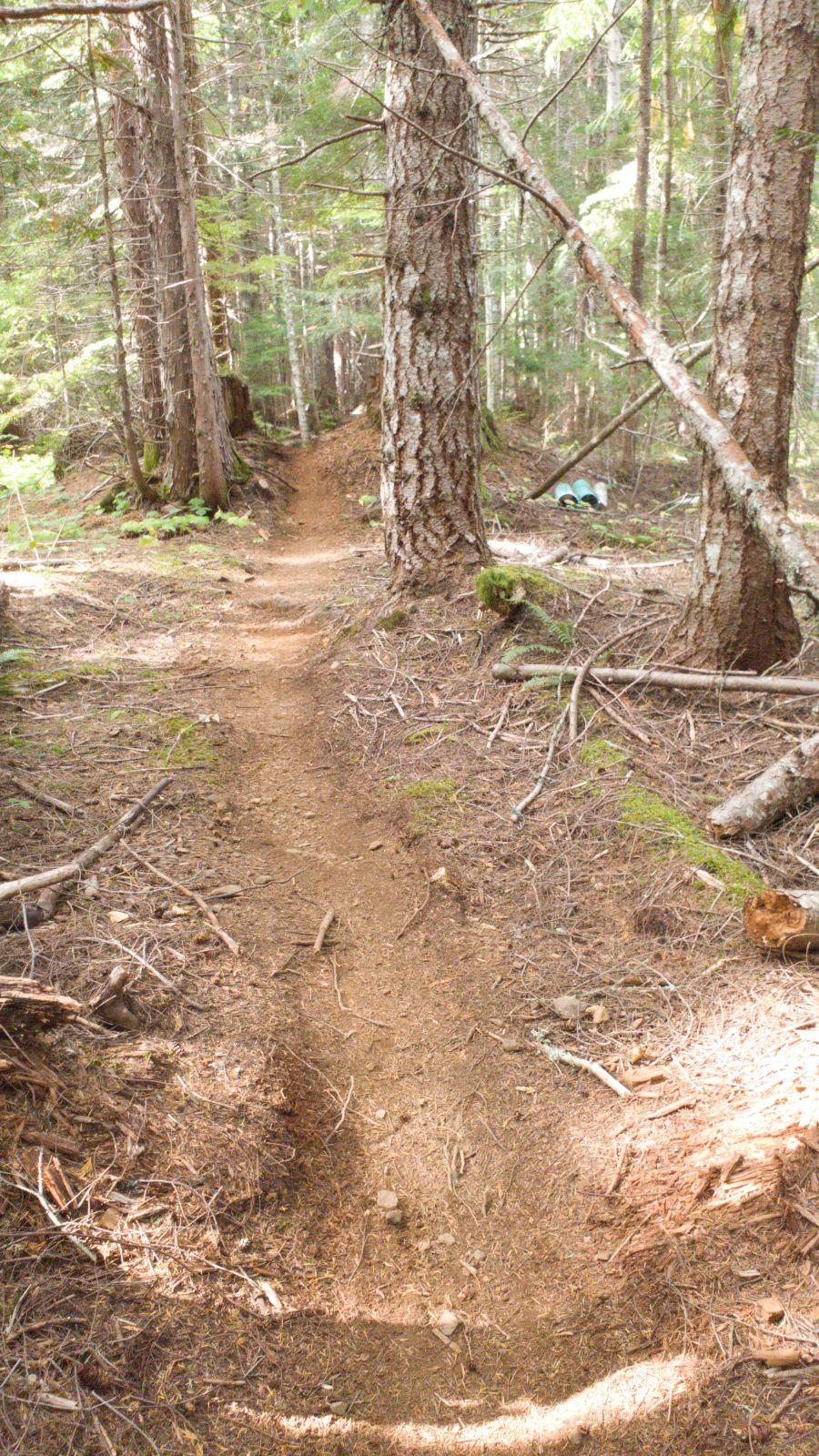 Too Tired trail photo 5