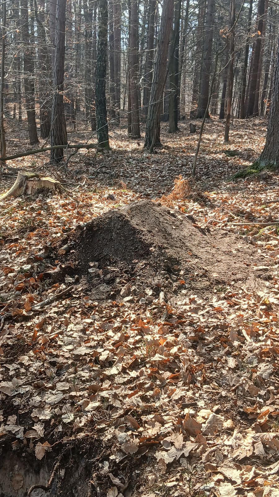 Jump Line trail photo 1