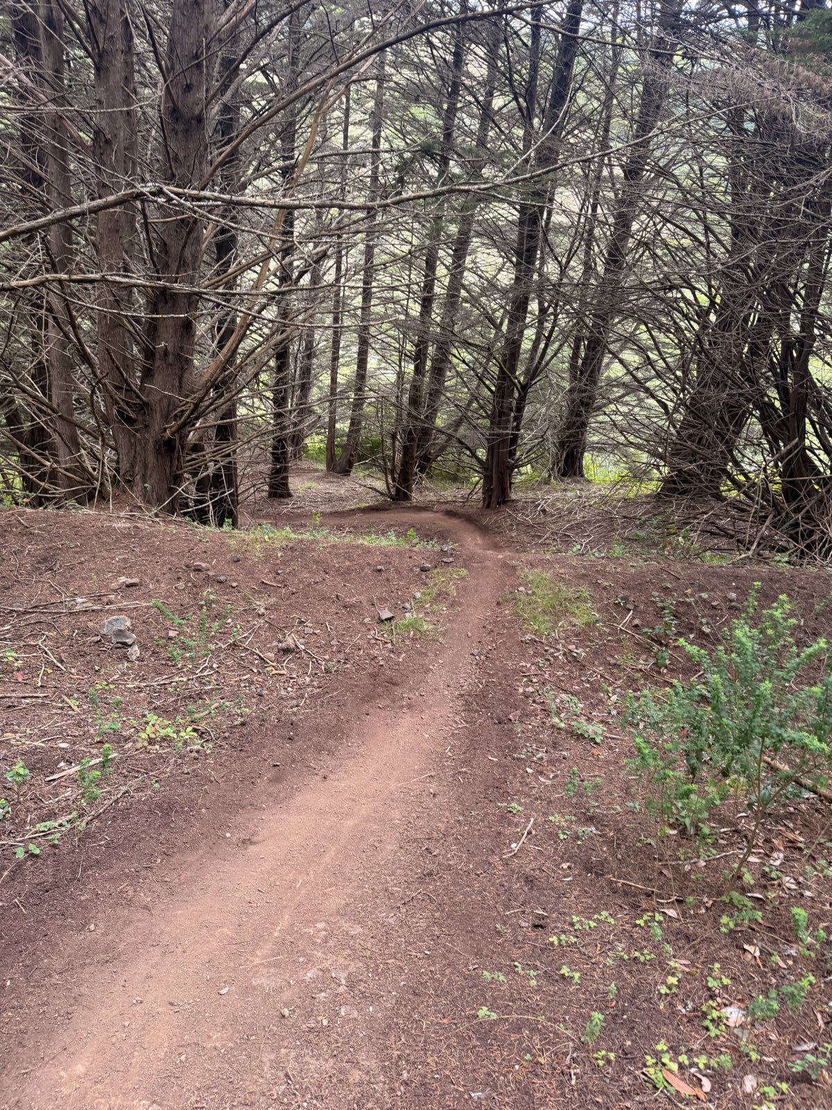 Magicello trail photo 1
