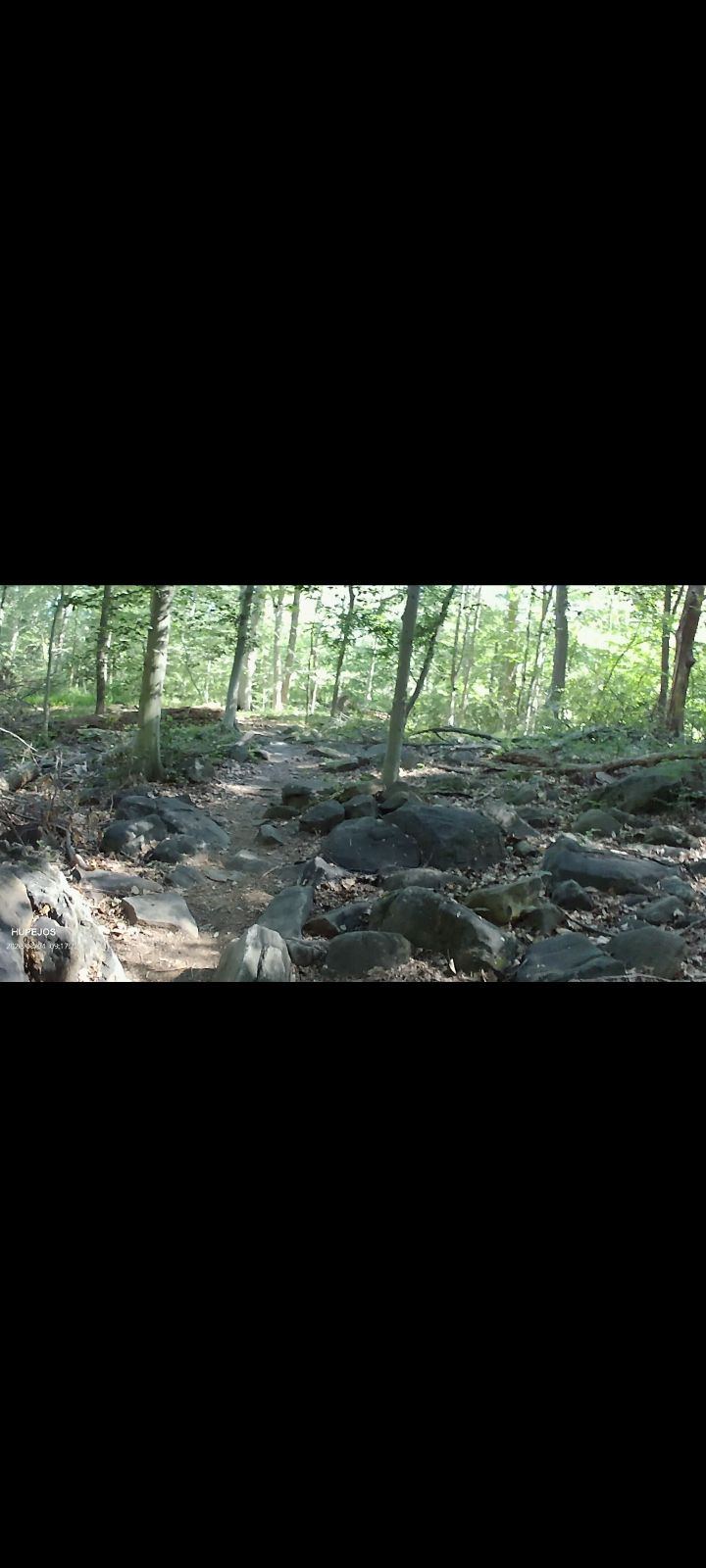 Ramsey Farm trail photo 3