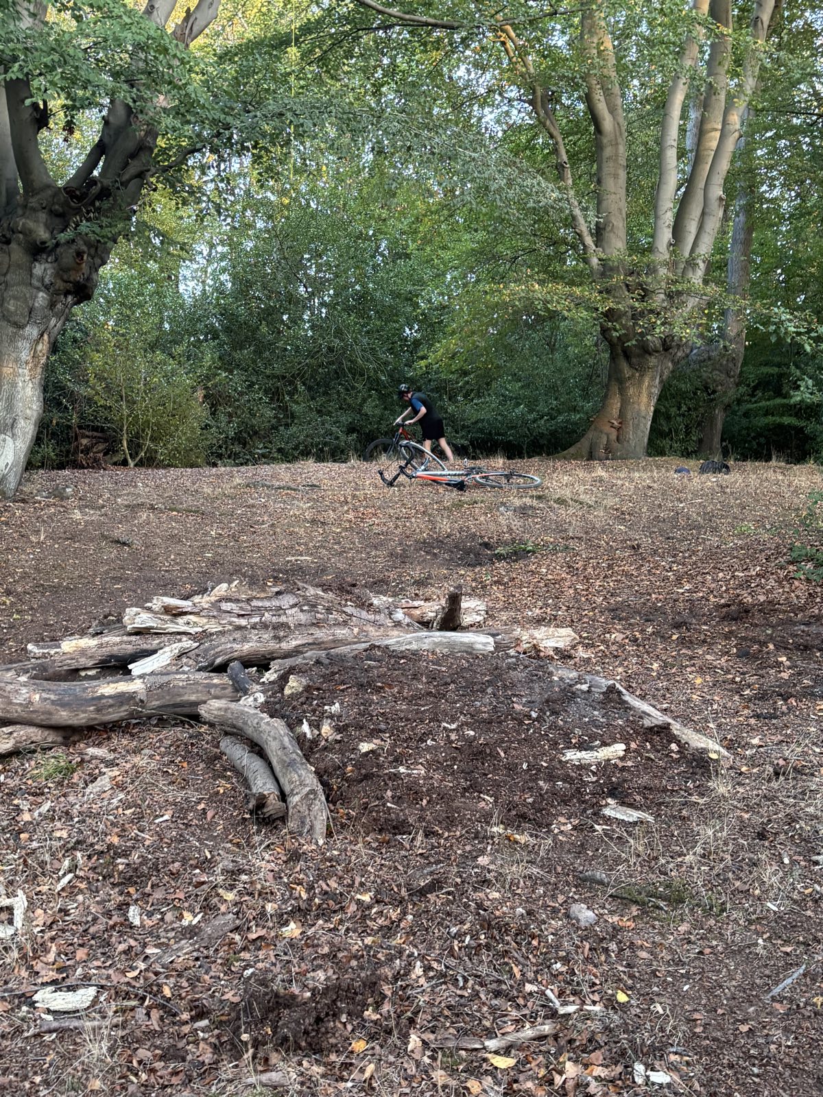 Main path trail photo 3