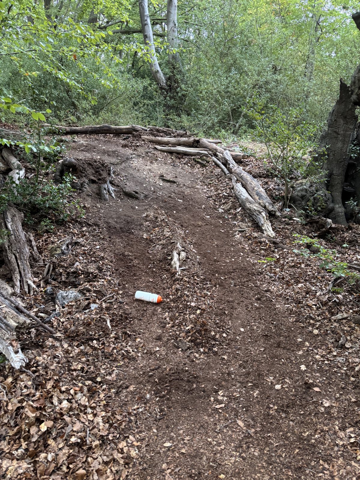 Main path trail photo 1