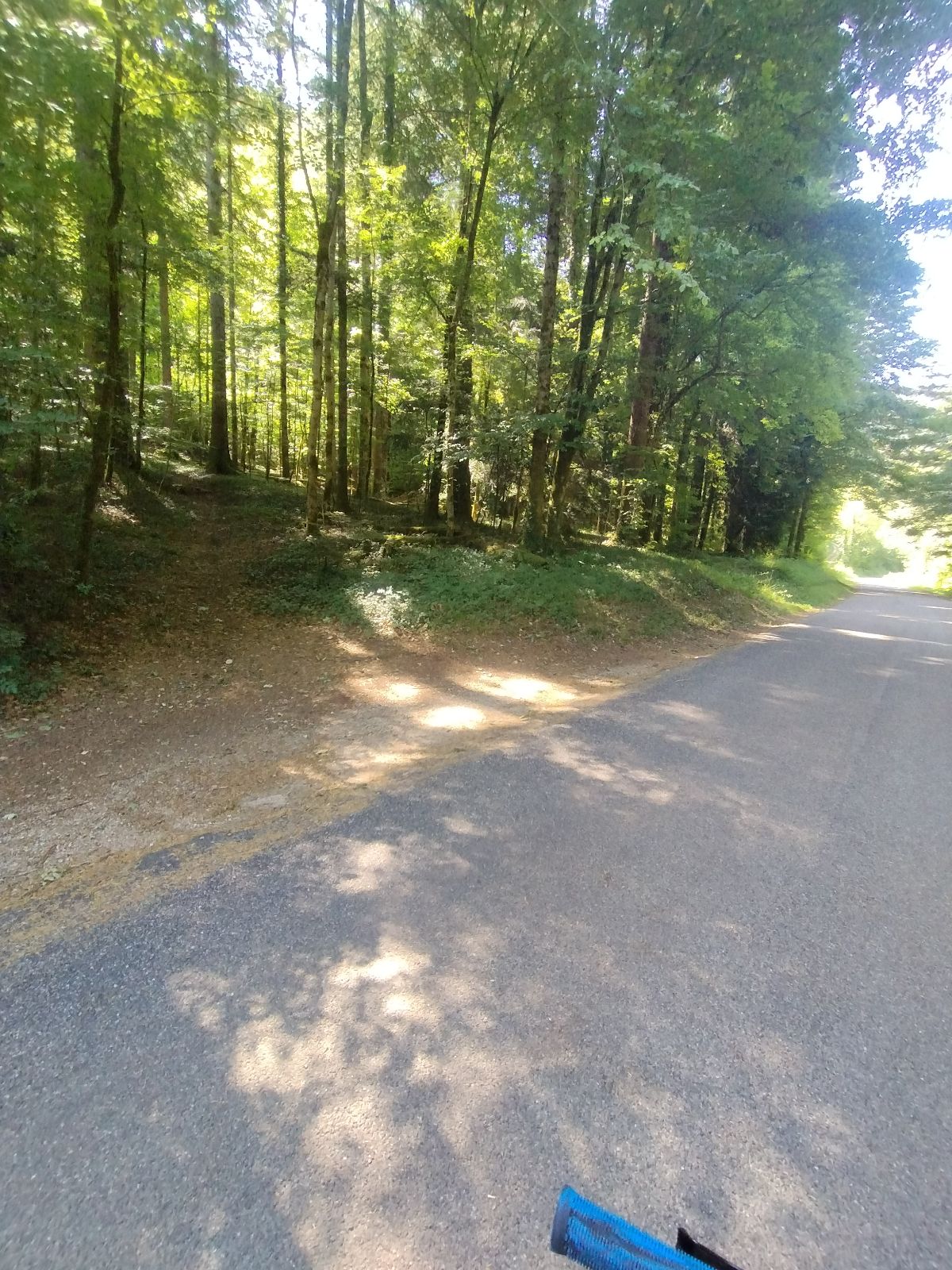 Loos Rocks Trail trail photo 1