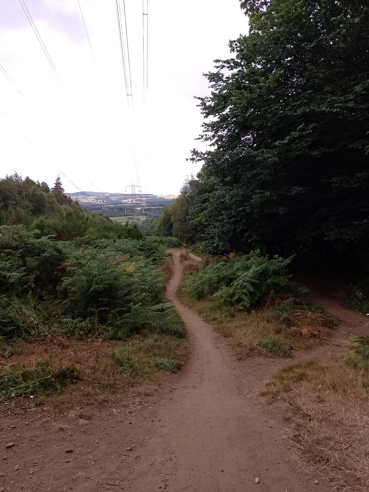 Chopwell Powerline trail photo 1