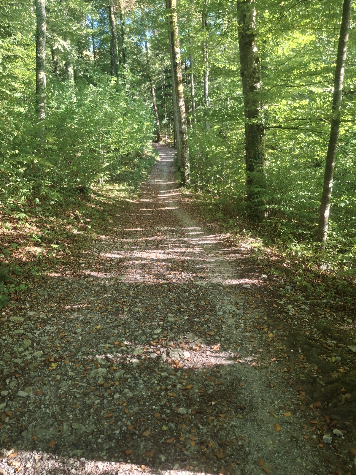 Rocky Roots trail photo 4