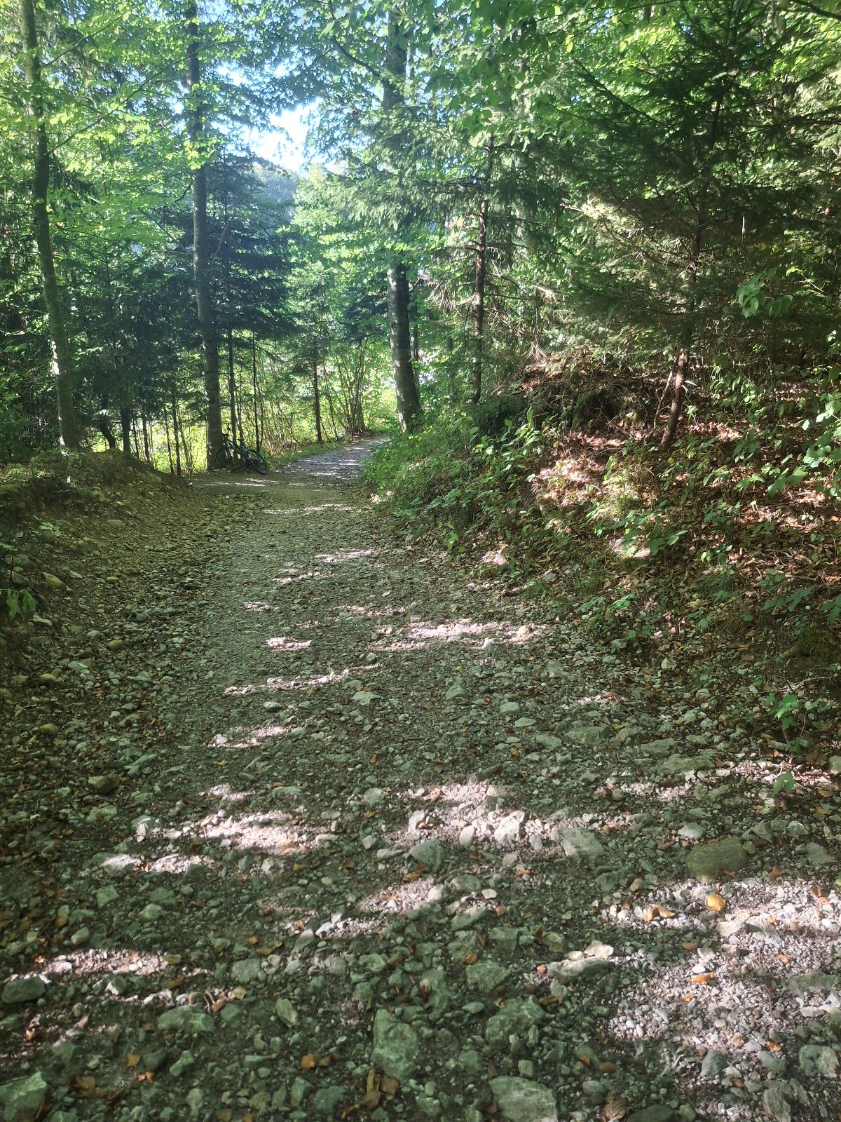 Rocky Roots trail photo 5