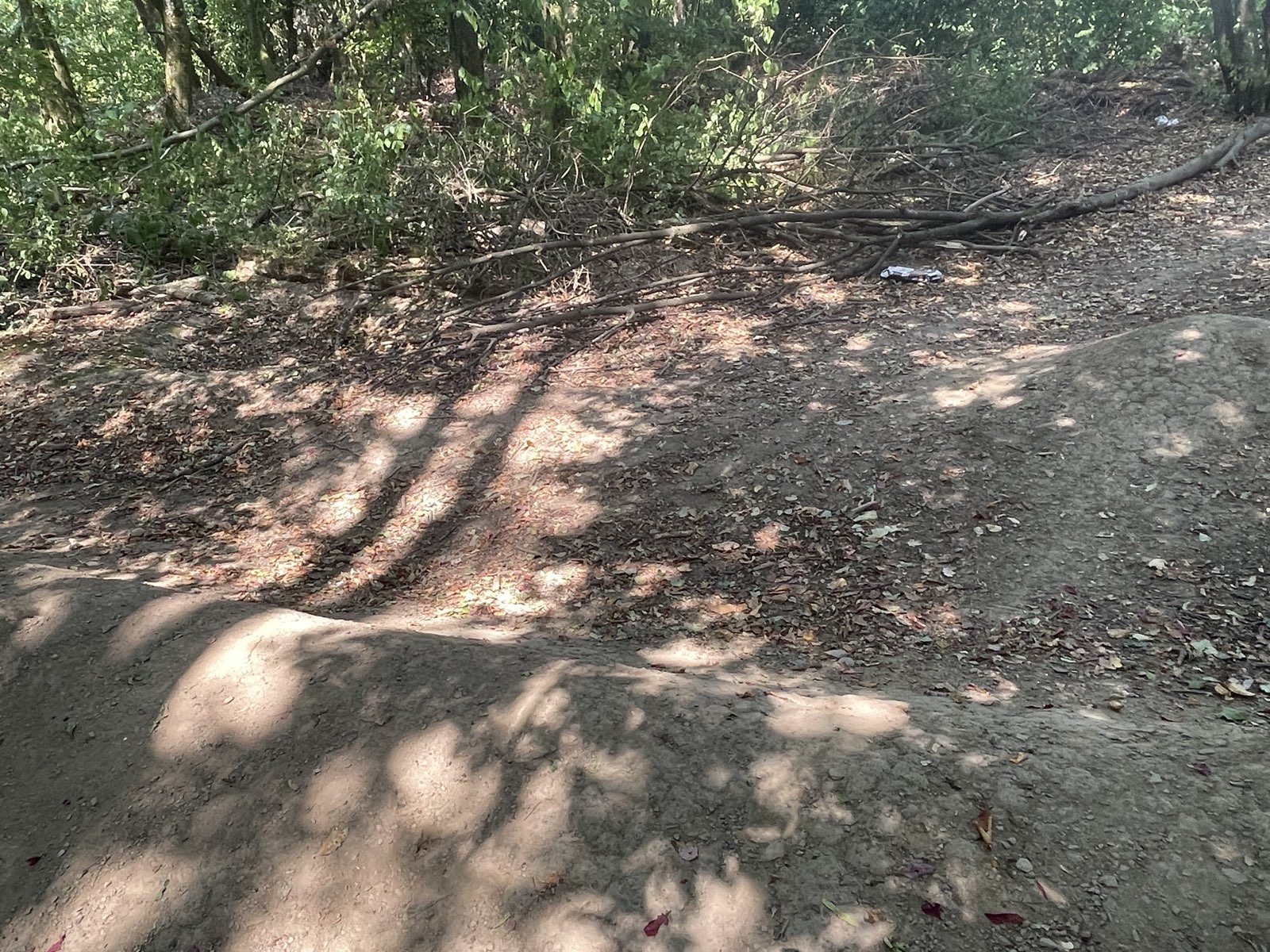 Rampenwald trail photo 4