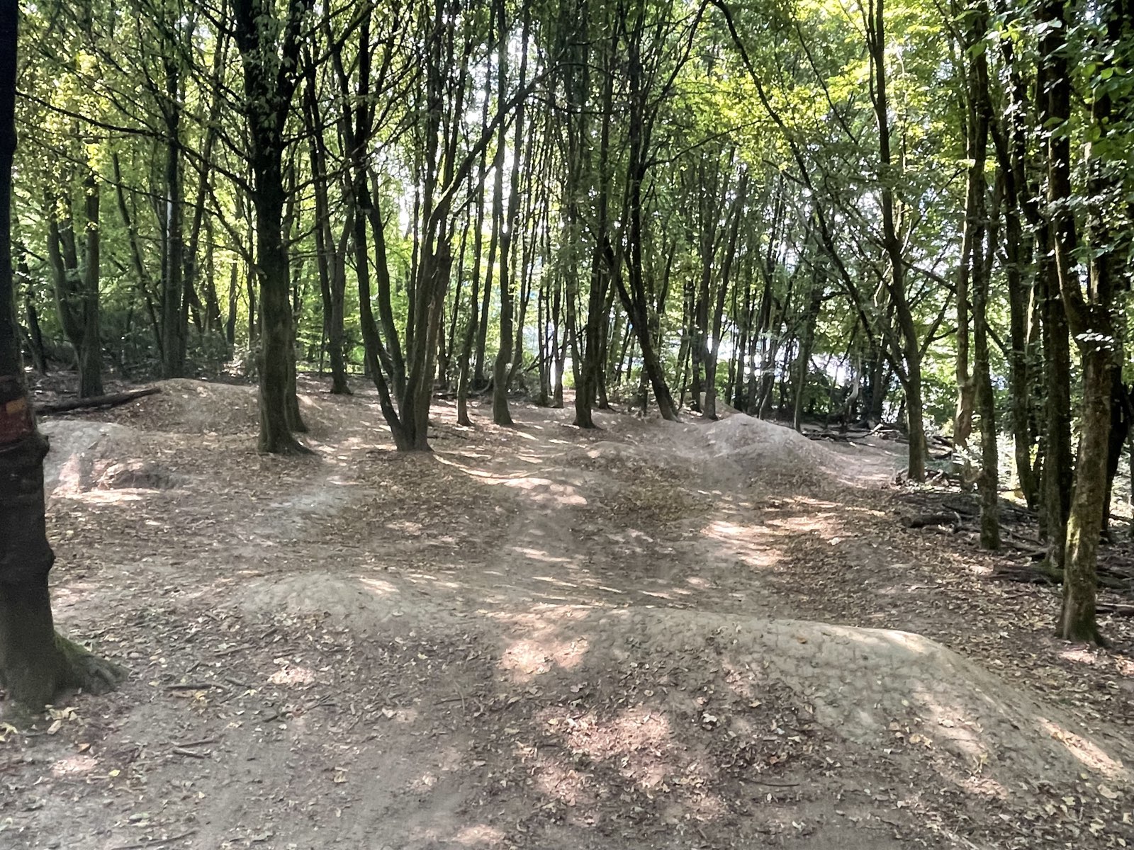 Rampenwald trail photo 1