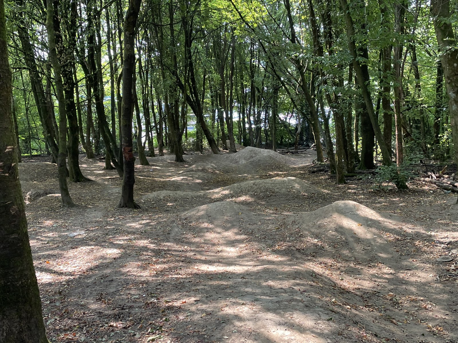 Rampenwald trail photo 2