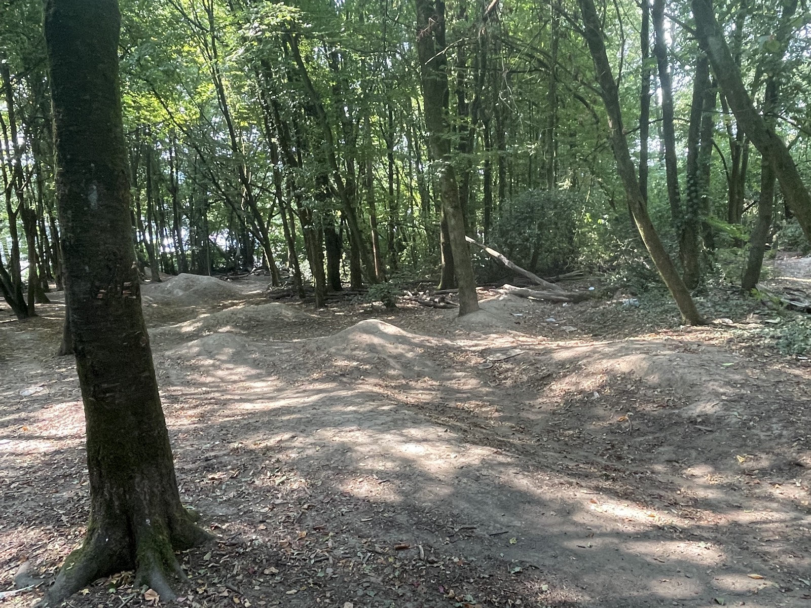 Rampenwald trail photo 5