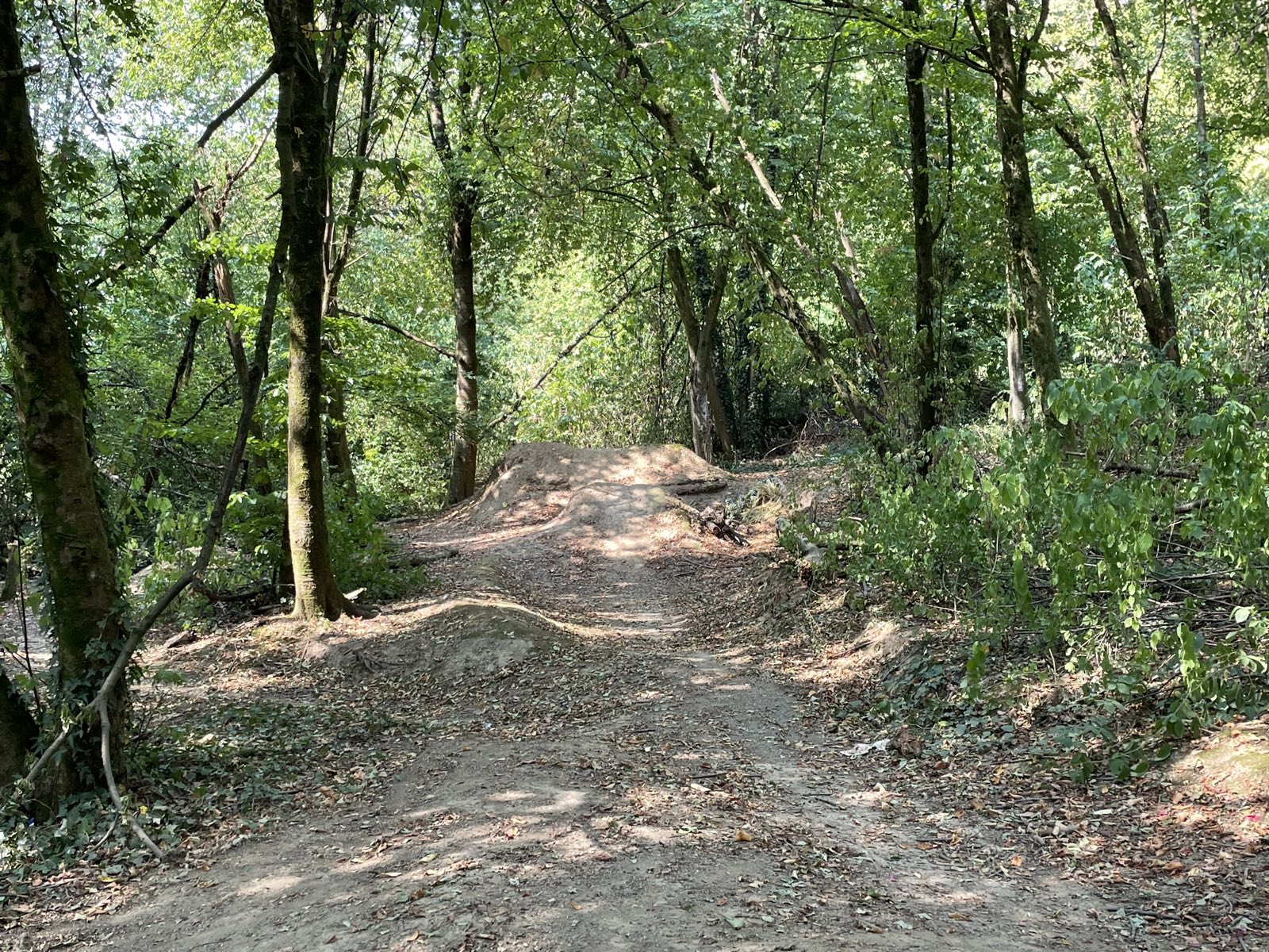 Rampenwald trail photo 3