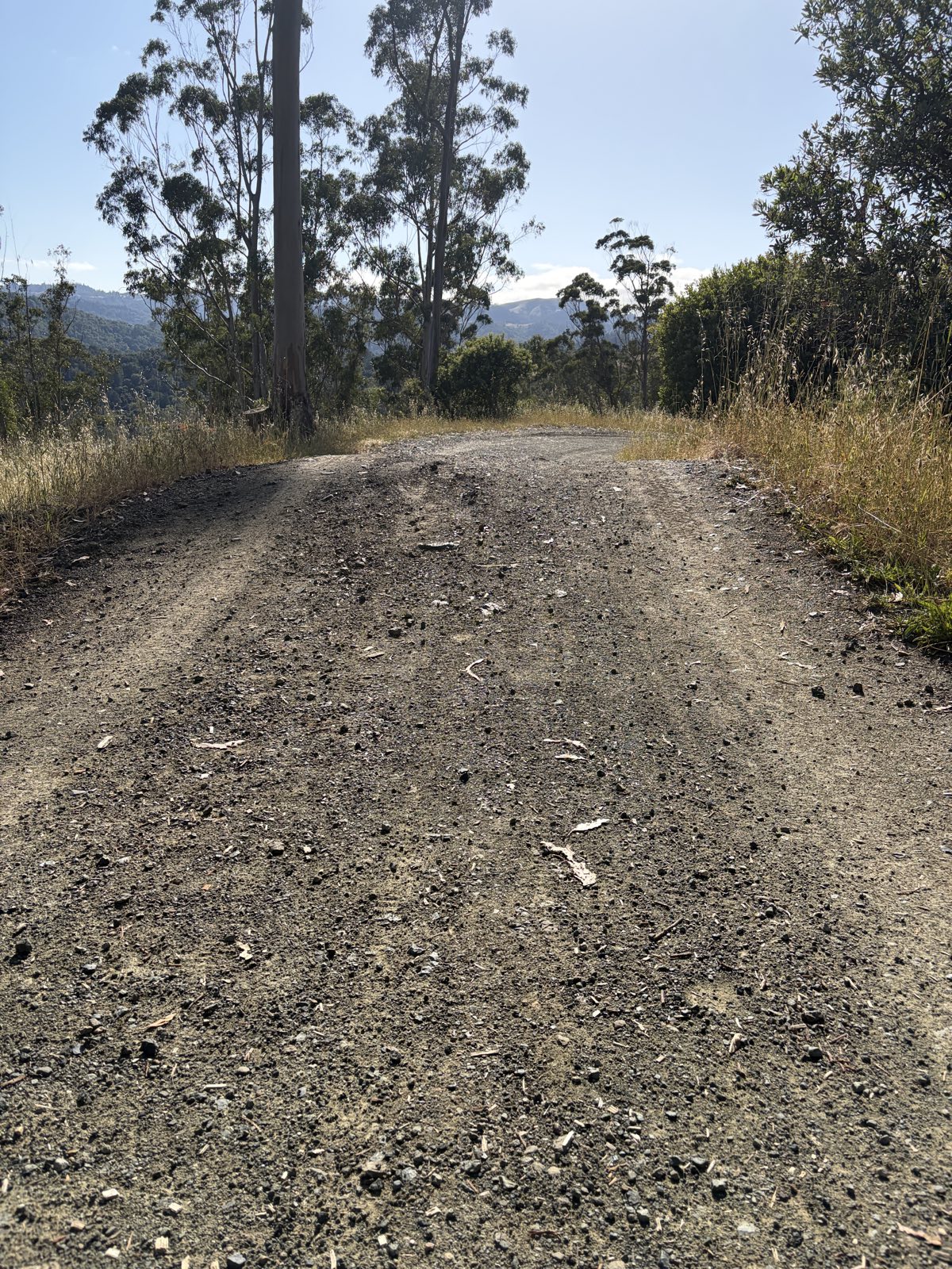 SV Ridge Gem trail photo 2
