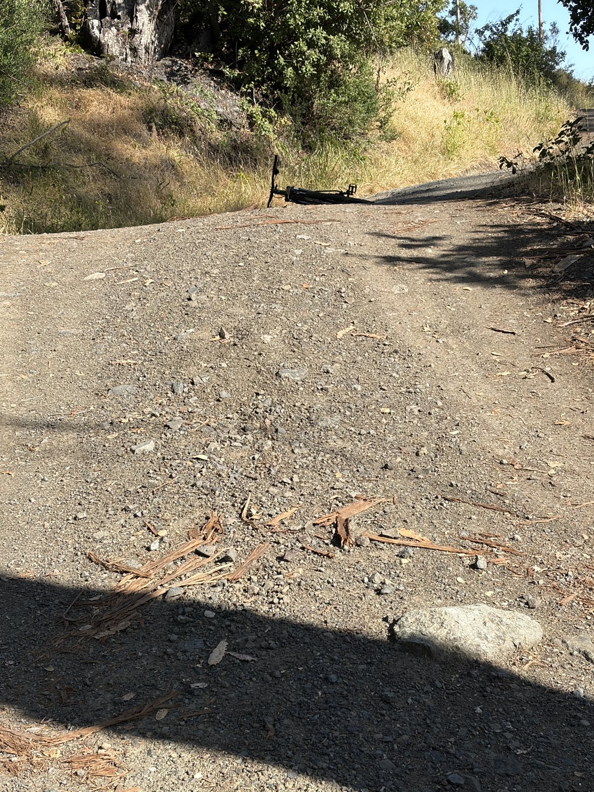 SV Ridge Gem trail photo 3