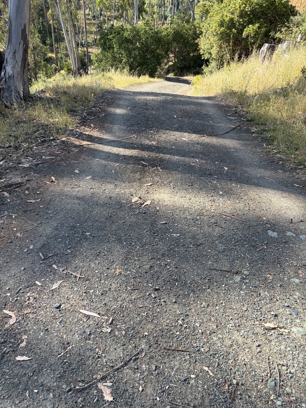 SV Ridge Gem trail photo 4