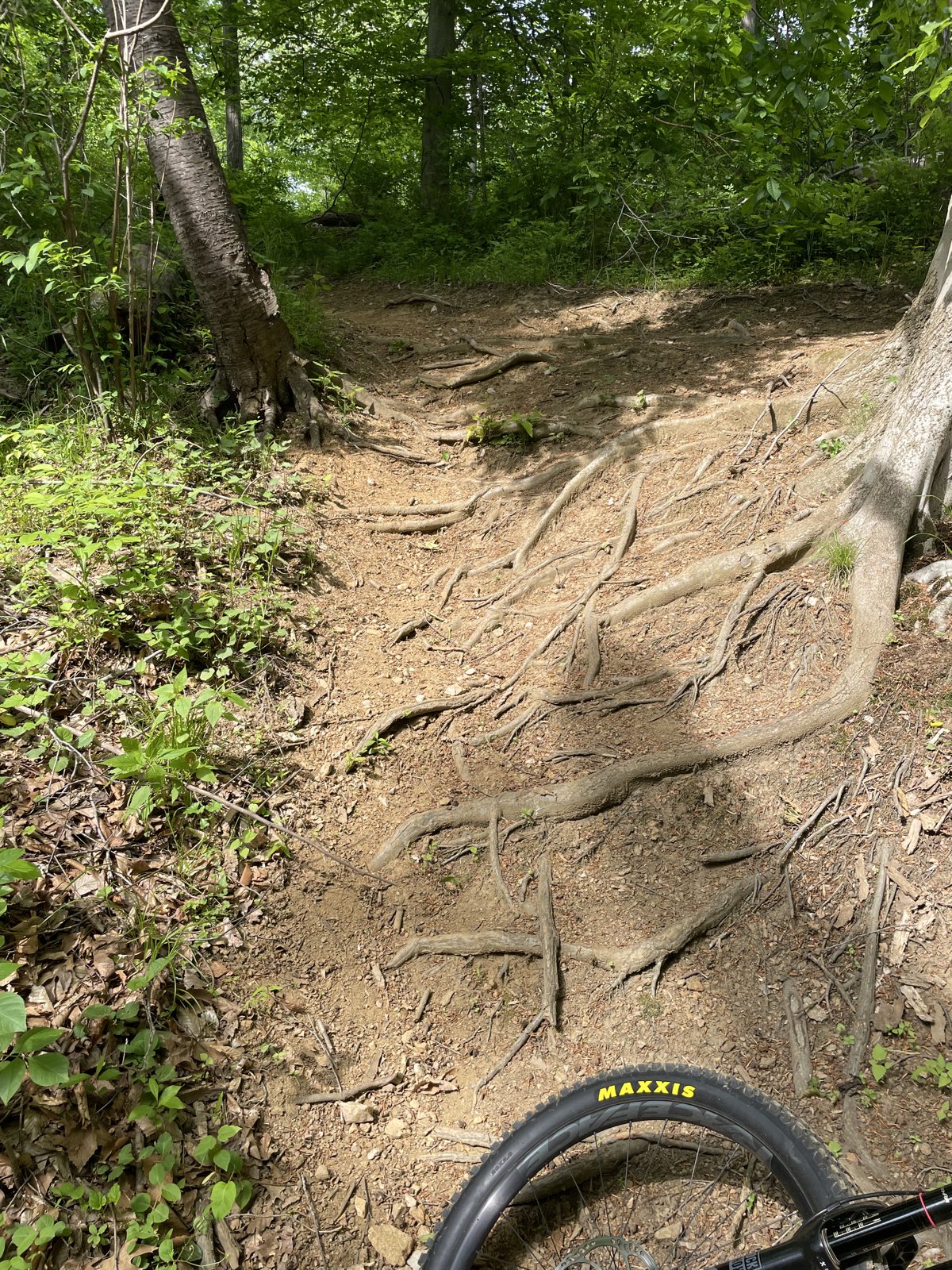 Carlo's Inferno trail photo 1
