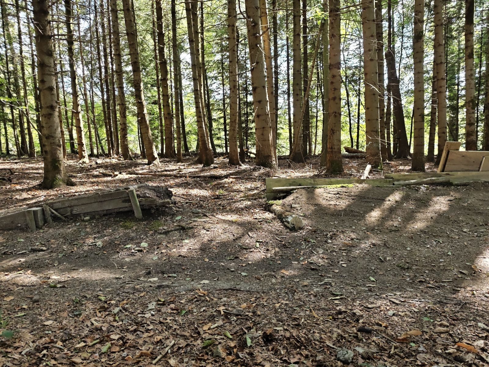 Fischbacher Trail trail photo 4