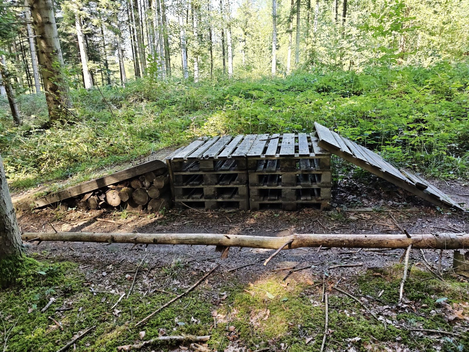 Fischbacher Trail trail photo 2