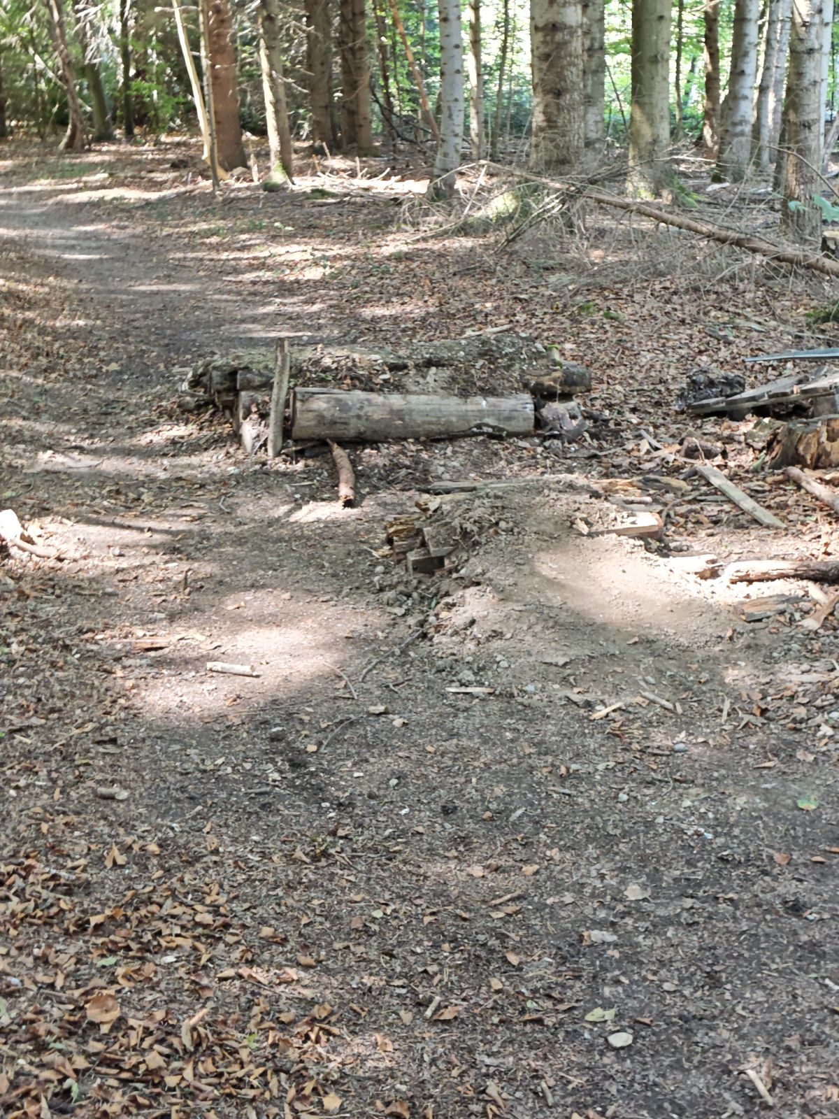 Fischbacher Trail trail photo 3