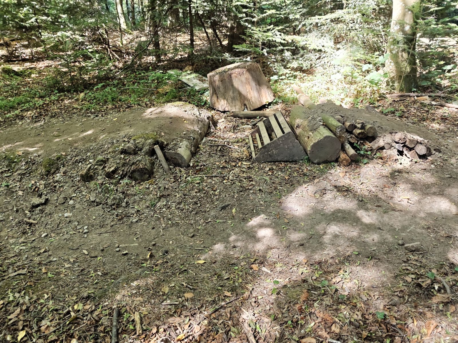 Fischbacher Trail trail photo 5