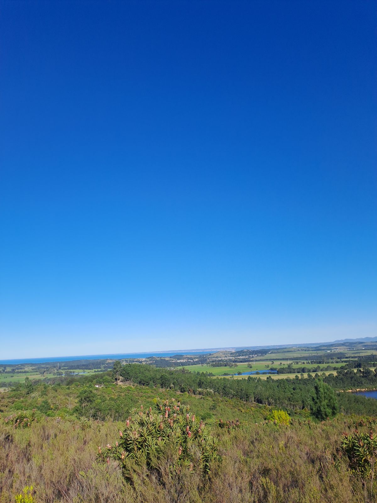Oxwagon Pass trail photo 2