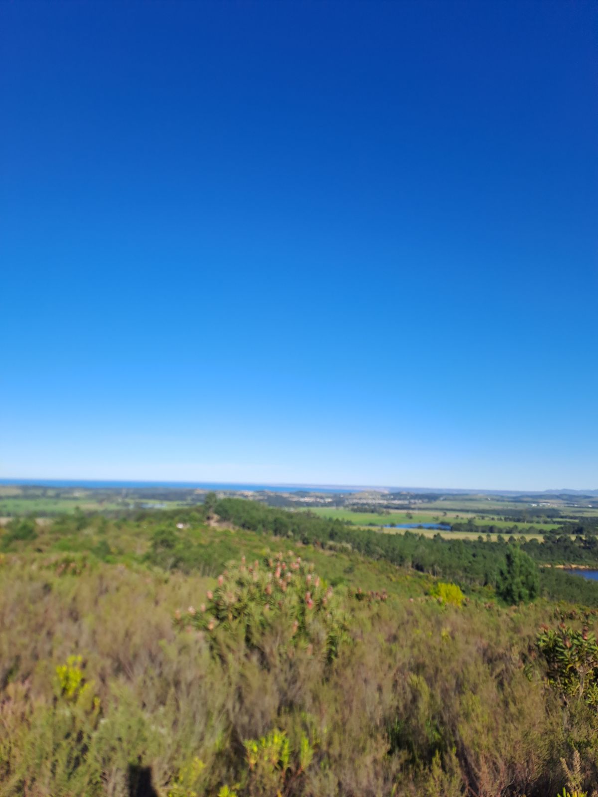 Oxwagon Pass trail photo 1