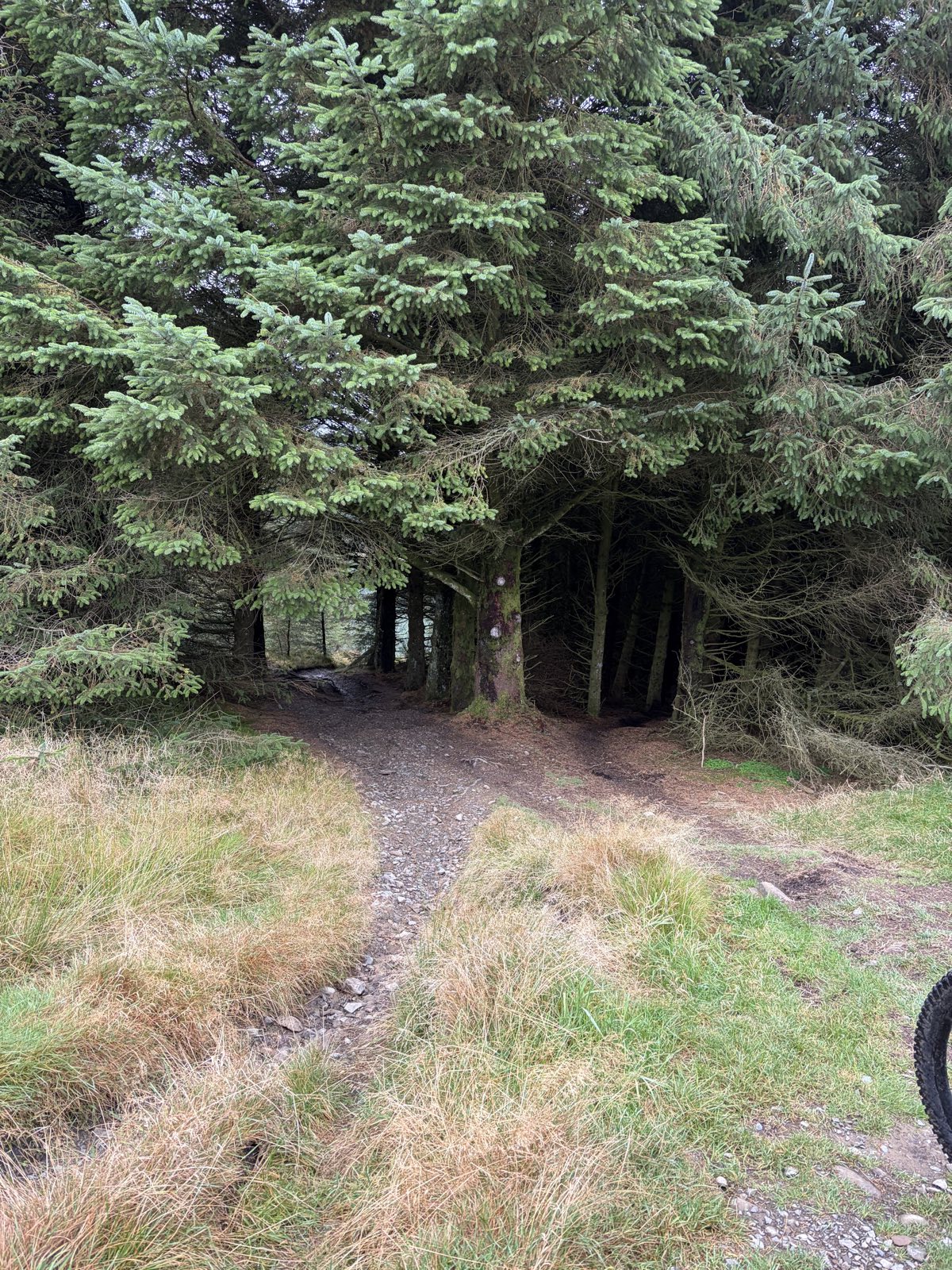 Hammer Time trail photo 5