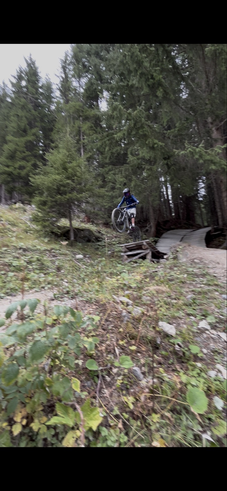 Gotschna Freeride trail photo 3
