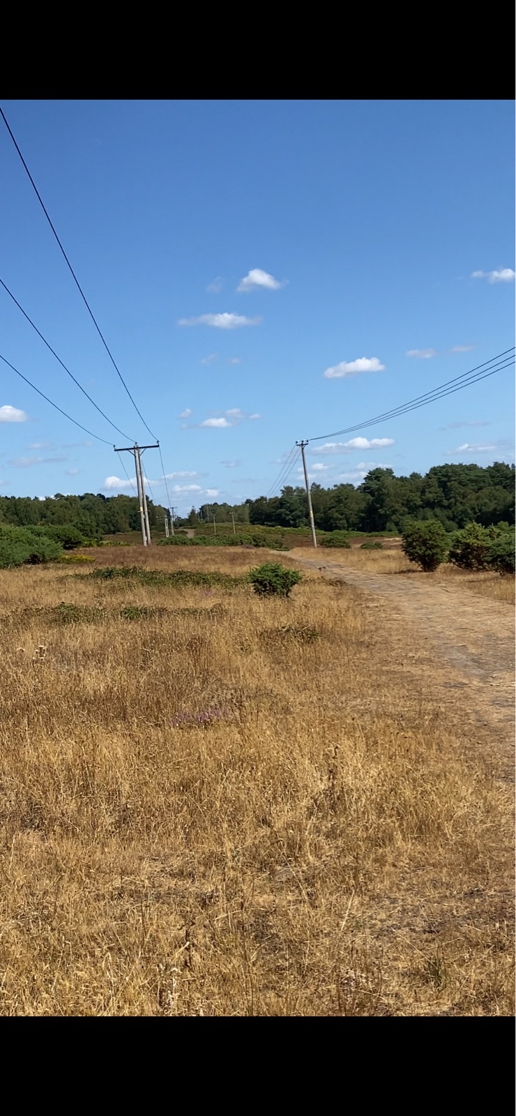 King Alfred's Way trail photo 1