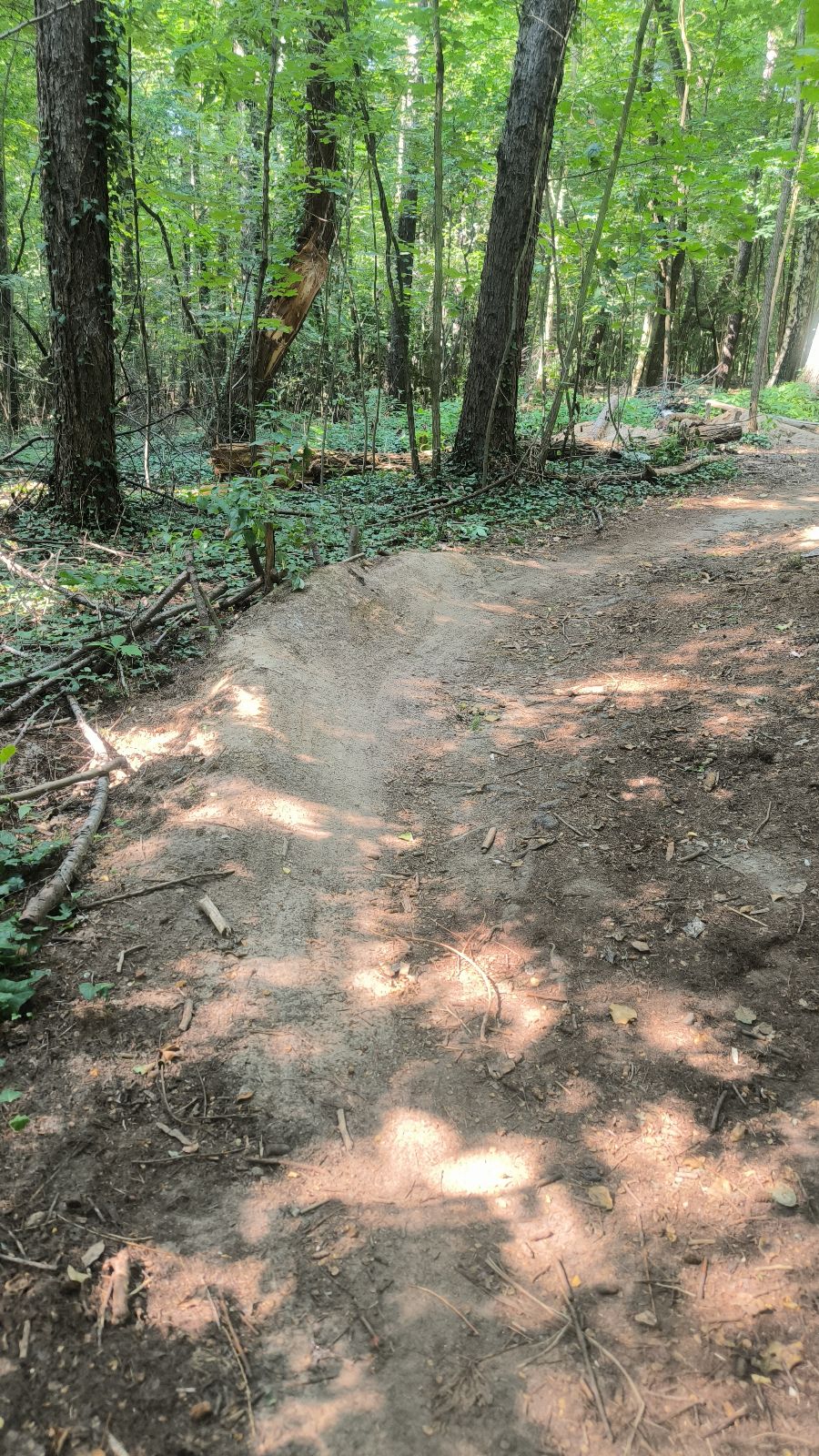 Lasek Aniolowski trail 1 trail photo 2