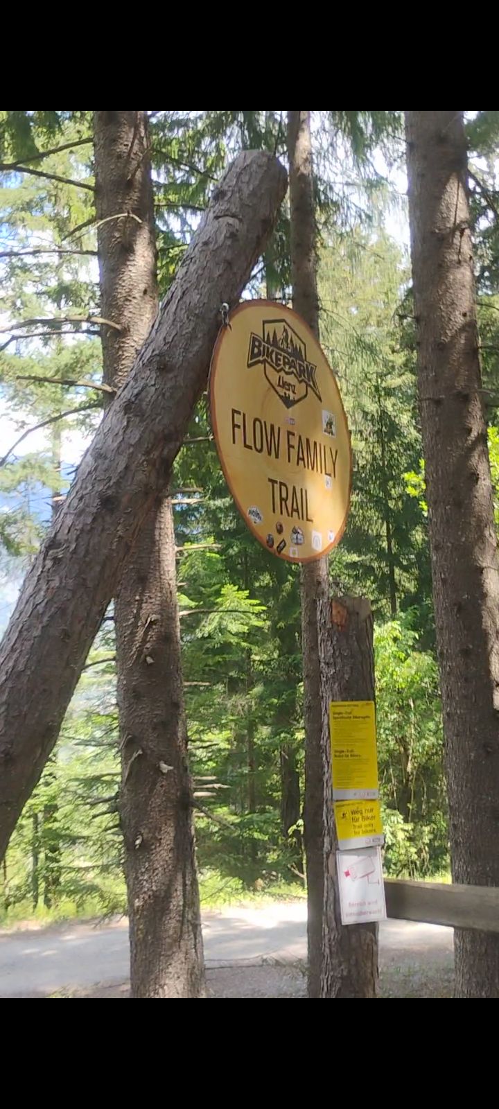 Family Flow Trail trail photo 1