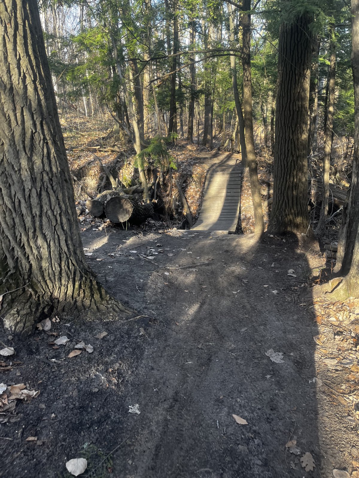 La crête, toujours la crête trail photo 1
