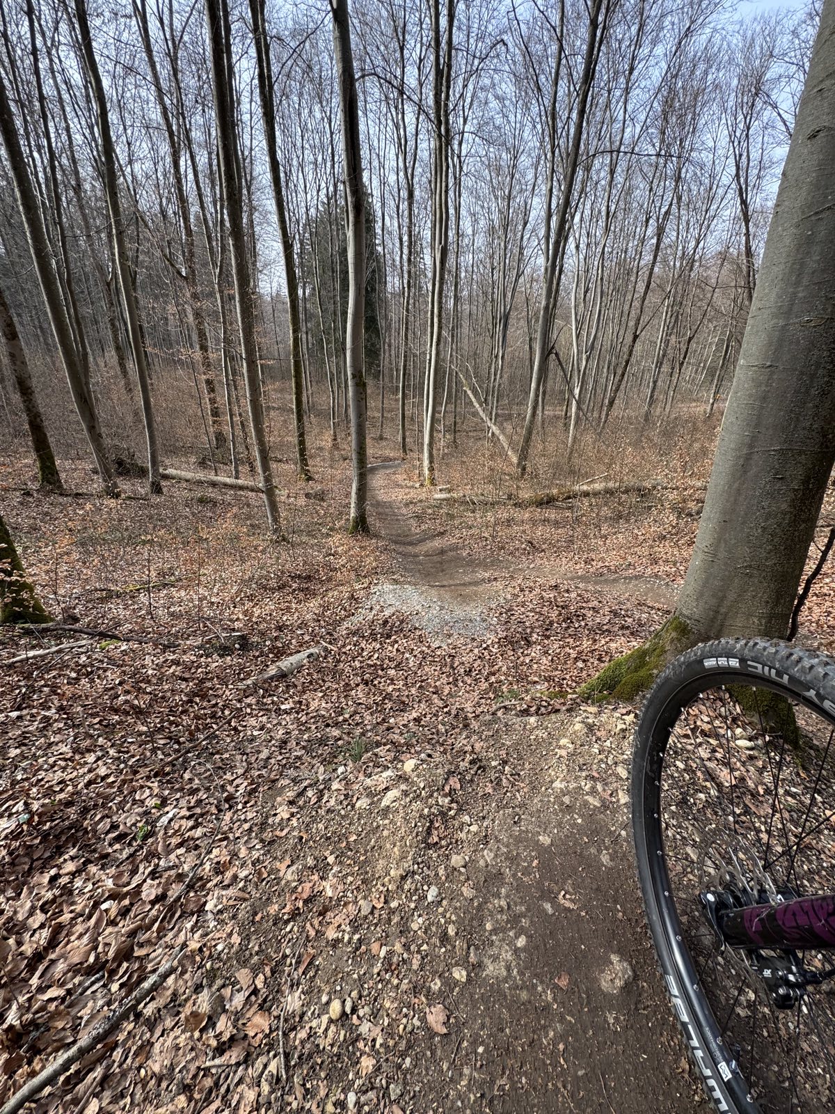 Plumber trail photo 2